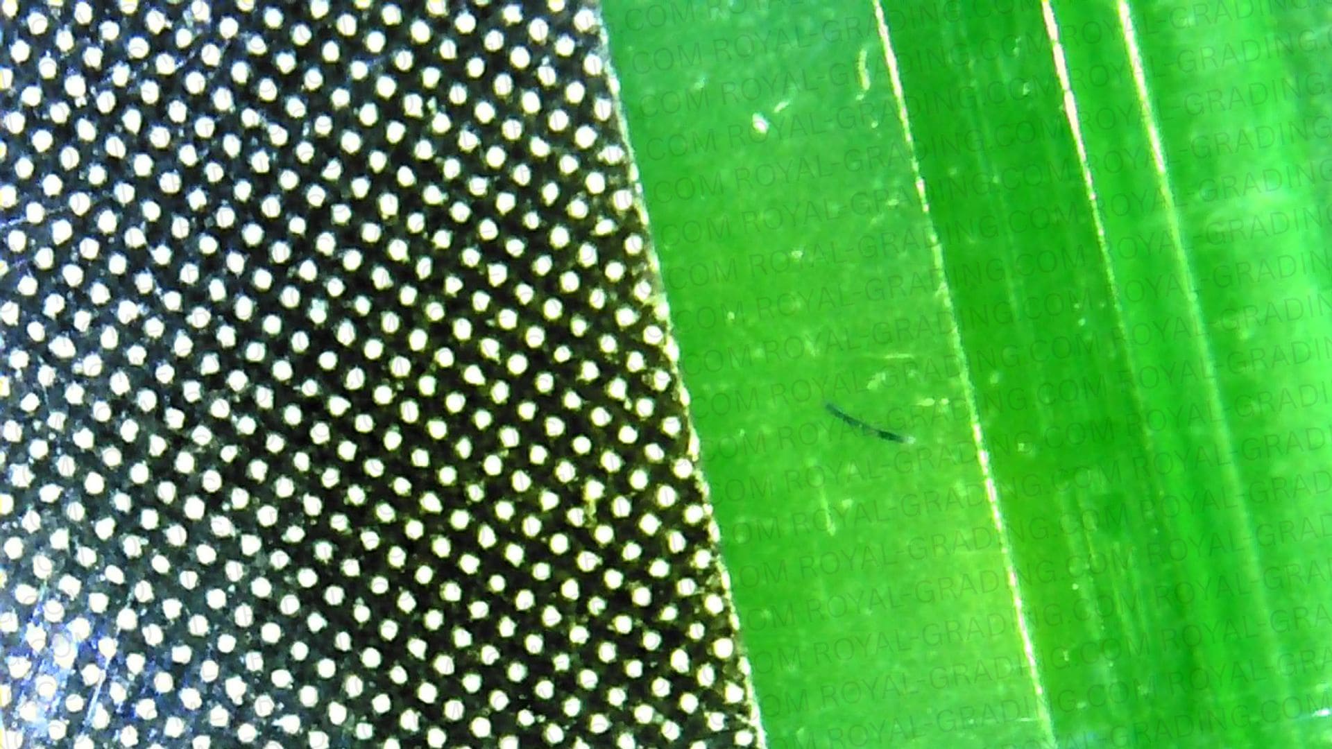 Further debris visible beneath the plastic wrap of the suspected resealed game